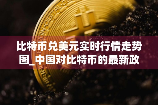 比特币兑美元实时行情走势图_中国对比特币的最新政策
