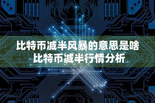 比特币减半风暴的意思是啥 比特币减半行情分析