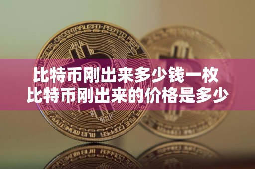 比特币刚出来多少钱一枚 比特币刚出来的价格是多少钱一个
