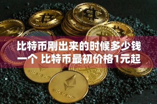 比特币刚出来的时候多少钱一个 比特币最初价格1元起