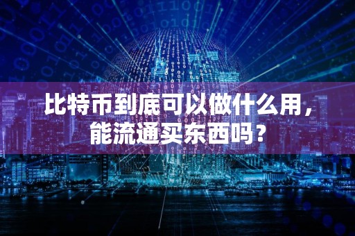 比特币到底可以做什么用，能流通买东西吗？