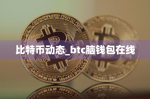 比特币动态_btc脑钱包在线