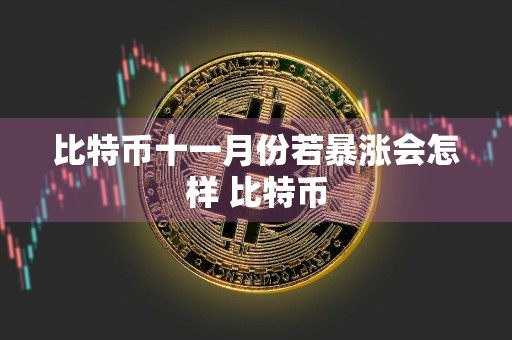 比特币十一月份若暴涨会怎样 比特币