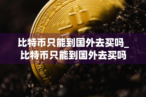比特币只能到国外去买吗_比特币只能到国外去买吗
