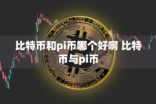 比特币和pi币哪个好啊 比特币与pi币