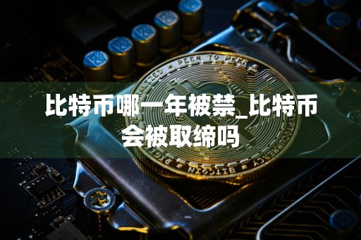 比特币哪一年被禁_比特币会被取缔吗