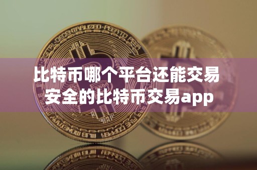 比特币哪个平台还能交易 安全的比特币交易app