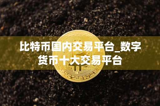 比特币国内交易平台_数字货币十大交易平台