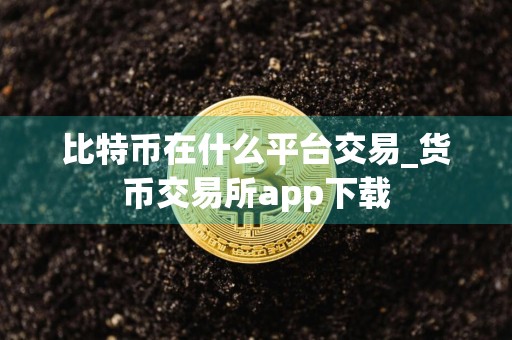 比特币在什么平台交易_货币交易所app下载