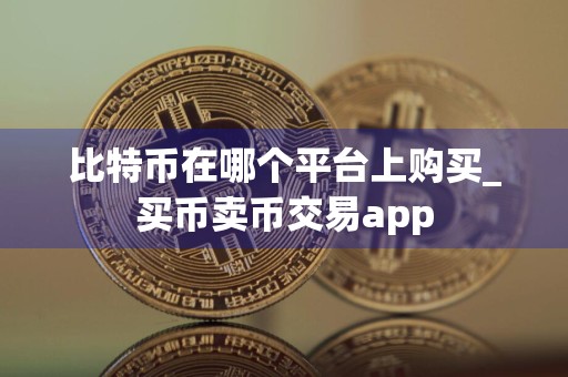 比特币在哪个平台上购买_买币卖币交易app
