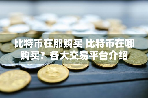 比特币在那购买 比特币在哪购买?各大交易平台介绍