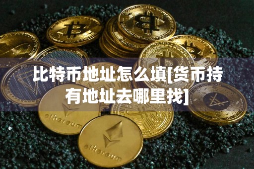 比特币地址怎么填[货币持有地址去哪里找]