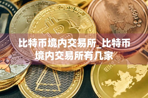 比特币境内交易所_比特币境内交易所有几家