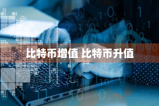 比特币增值 比特币升值