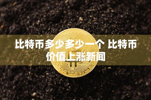 比特币多少多少一个 比特币价值上涨新闻