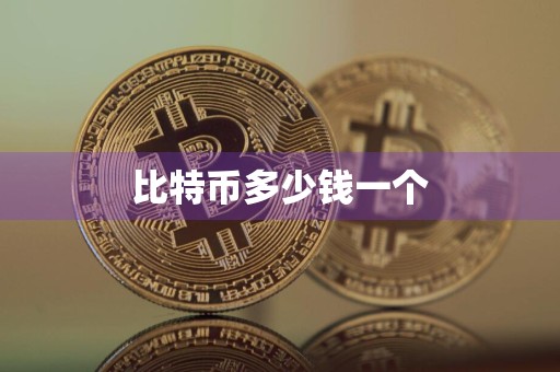 比特币多少钱一个