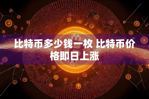 比特币多少钱一枚 比特币价格即日上涨