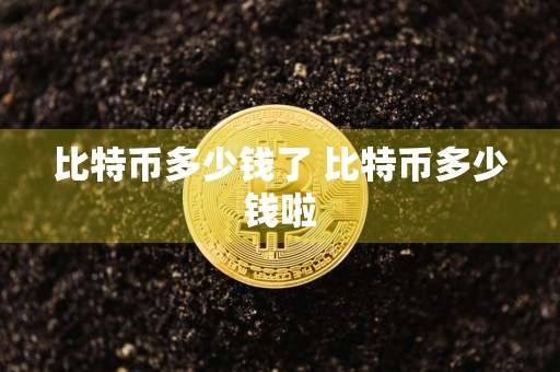 比特币多少钱了 比特币多少钱啦