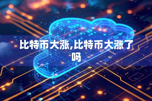 比特币大涨,比特币大涨了吗