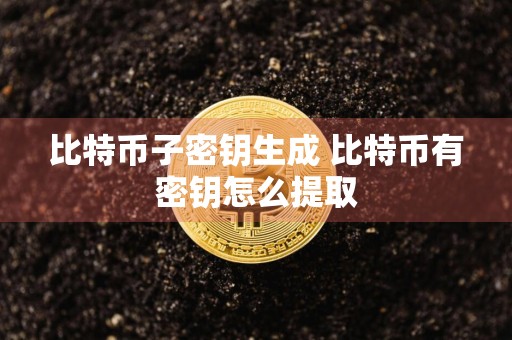 比特币子密钥生成 比特币有密钥怎么提取