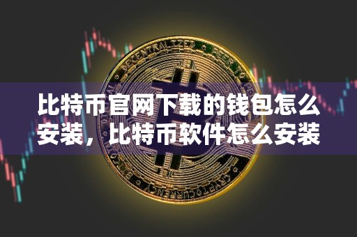 比特币官网下载的钱包怎么安装，比特币软件怎么安装