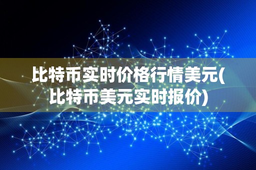 比特币实时价格行情美元(比特币美元实时报价)