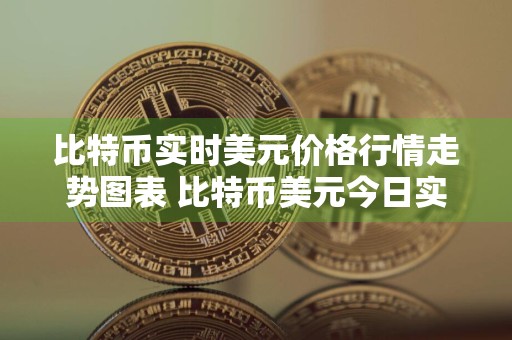 比特币实时美元价格行情走势图表 比特币美元今日实时走势图