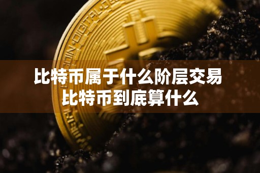 比特币属于什么阶层交易 比特币到底算什么