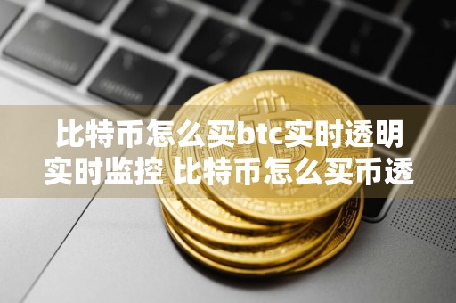 比特币怎么买btc实时透明实时监控 比特币怎么买币透明实时监控