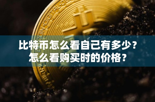 比特币怎么看自己有多少?怎么看购买时的价格?