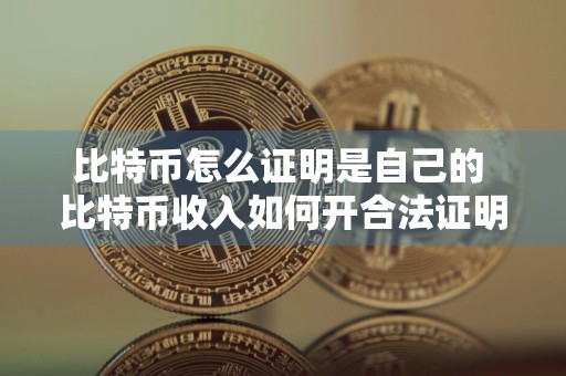 比特币怎么证明是自己的 比特币收入如何开合法证明