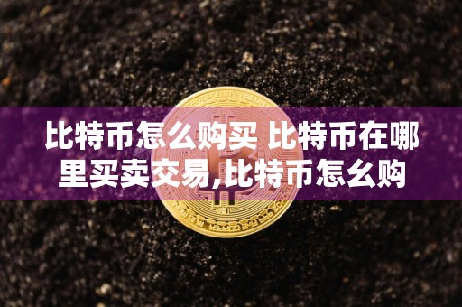 比特币怎么购买 比特币在哪里买卖交易,比特币怎幺购买