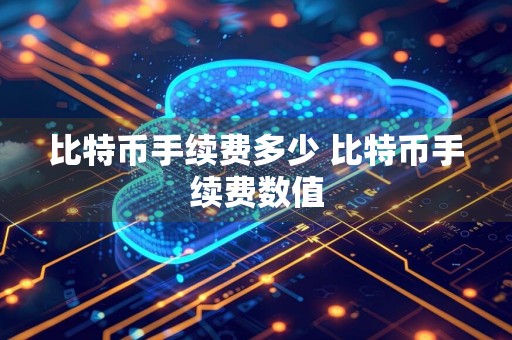 比特币手续费多少 比特币手续费数值