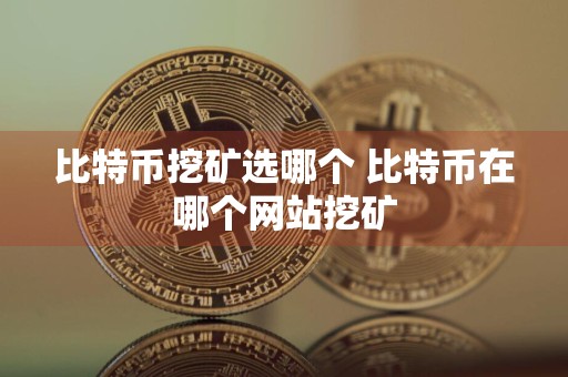 比特币挖矿选哪个 比特币在哪个网站挖矿