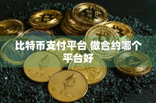 比特币支付平台 做合约哪个平台好