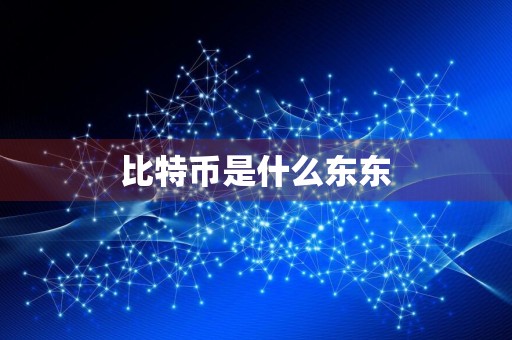 比特币是什么东东