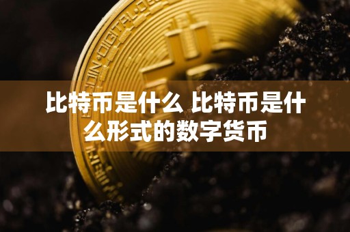 比特币是什么 比特币是什么形式的数字货币
