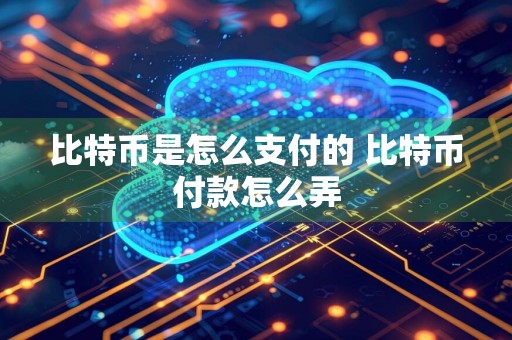 比特币是怎么支付的 比特币付款怎么弄