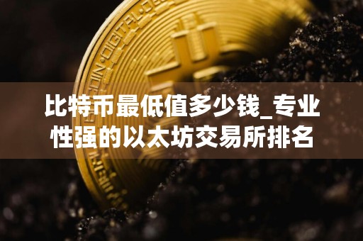 比特币最低值多少钱_专业性强的以太坊交易所排名
