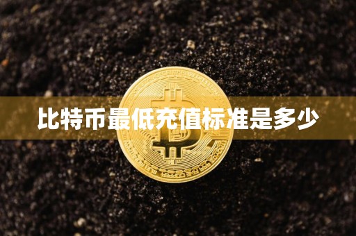 比特币最低充值标准是多少
