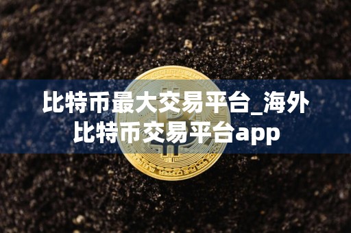 比特币最大交易平台_海外比特币交易平台app