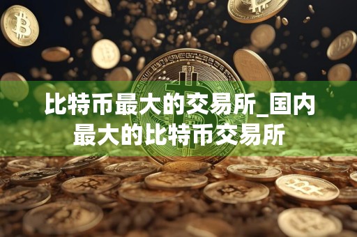 比特币最大的交易所_国内最大的比特币交易所