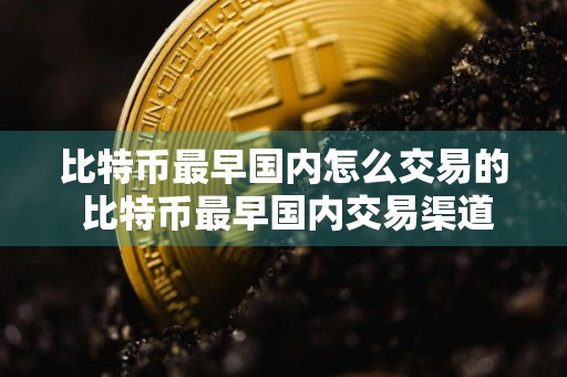 比特币最早国内怎么交易的 比特币最早国内交易渠道