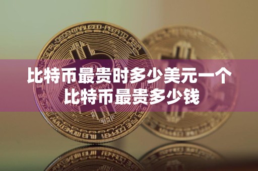 比特币最贵时多少美元一个 比特币最贵多少钱