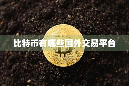 比特币有哪些国外交易平台