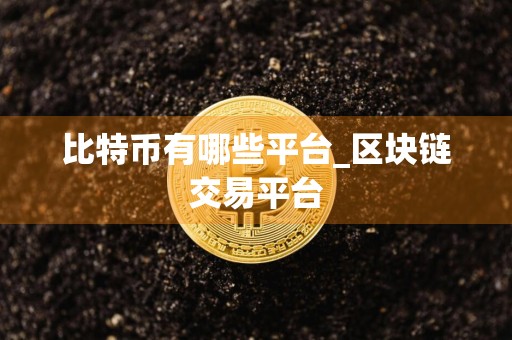 比特币有哪些平台_区块链交易平台