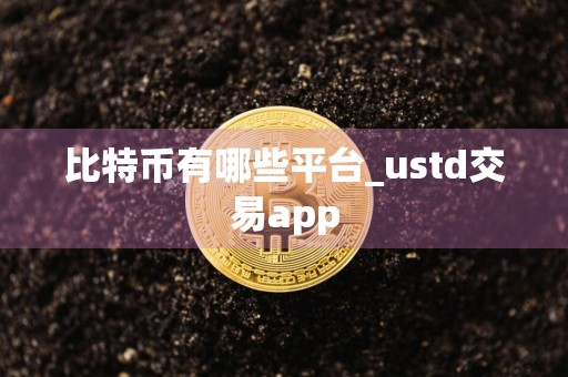 比特币有哪些平台_ustd交易app