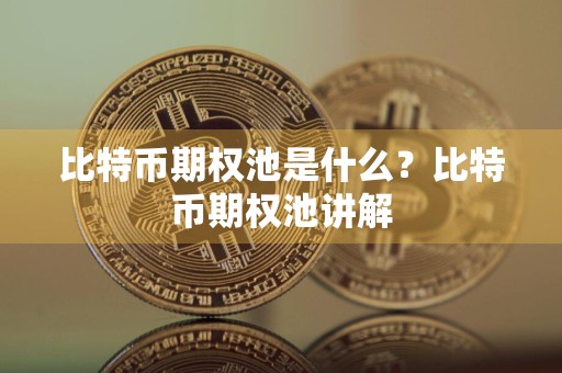 比特币期权池是什么？比特币期权池讲解