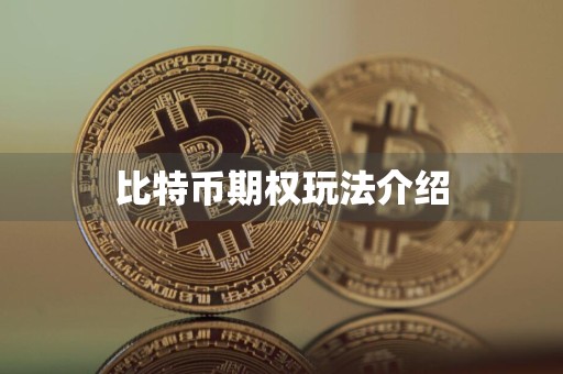 比特币期权玩法介绍