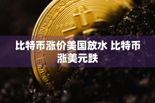 比特币涨价美国放水 比特币涨美元跌